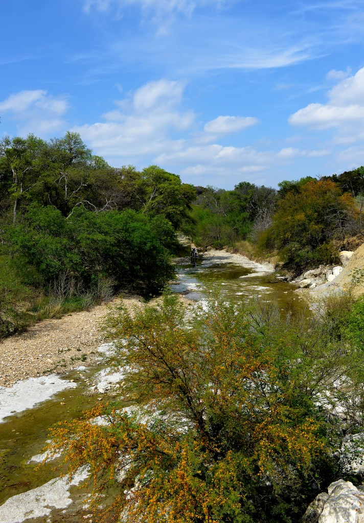 Shoal Creek in spring, Shoal Creek, Texas by Ted Lee Eubanks