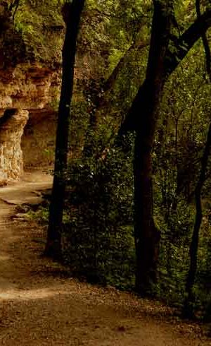 Shoal Creek Trail @ 30th Street/Andrew Sobchak